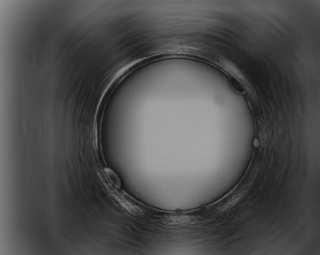 X0000052610940200507160033