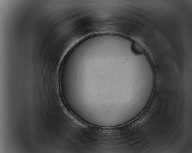 X0000052610941200507160034