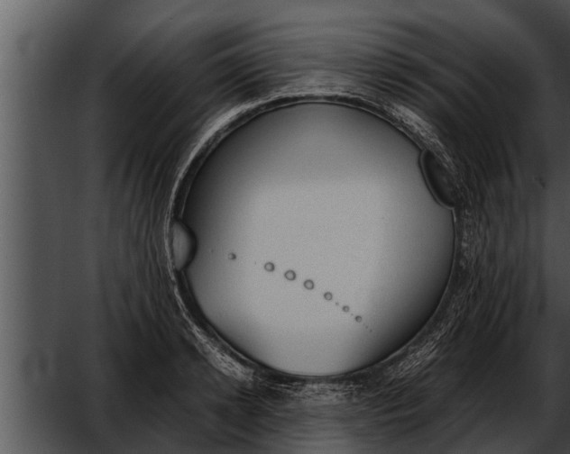 X0000052610942200507160034