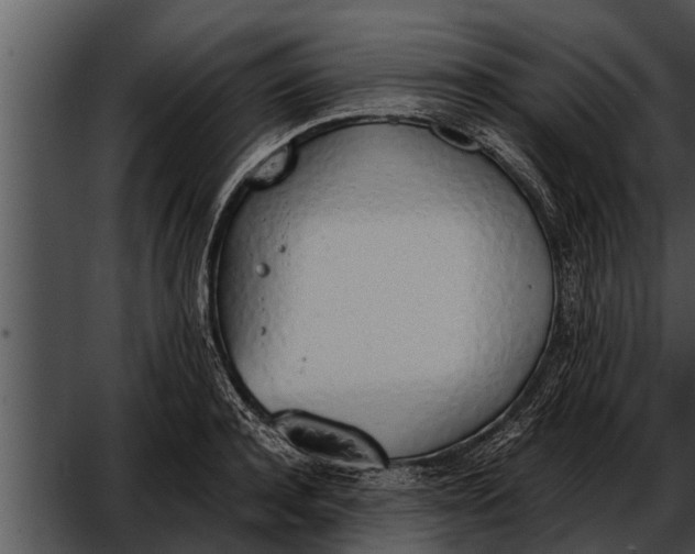 X0000052610944200507160034