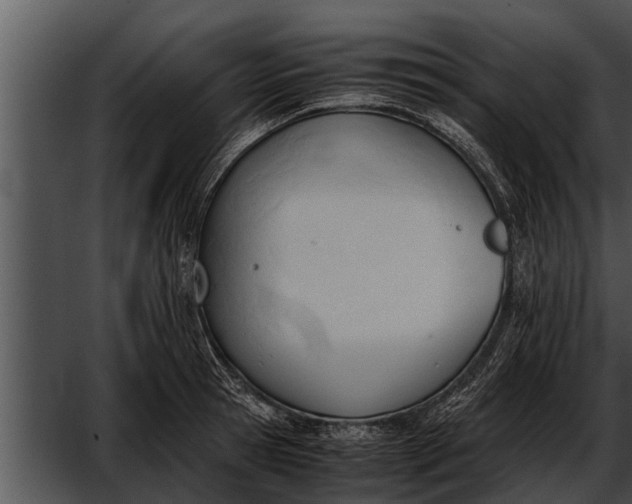 X0000052610945200507160034