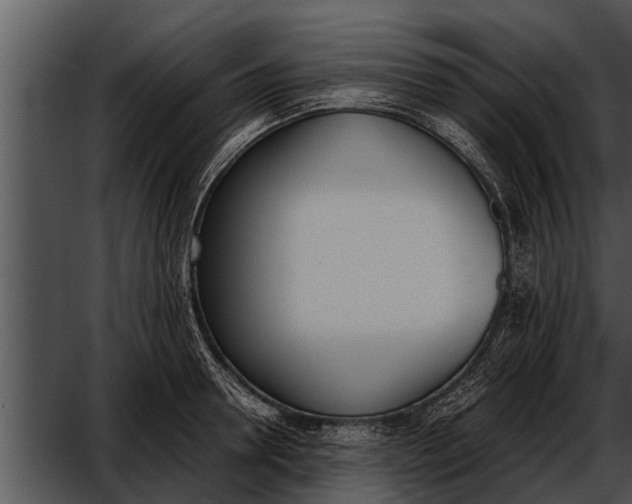 X0000052610946200507160034