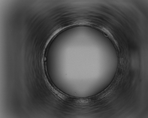 X0000052610947200507160034