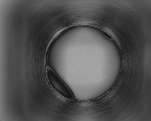 X0000052610948200507160034