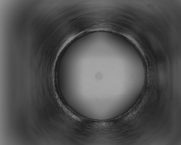 X0000052610949200507160034