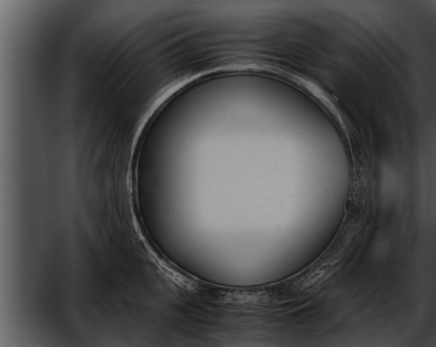 X0000052610951200507160034