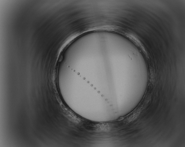 X0000052610952200507160034