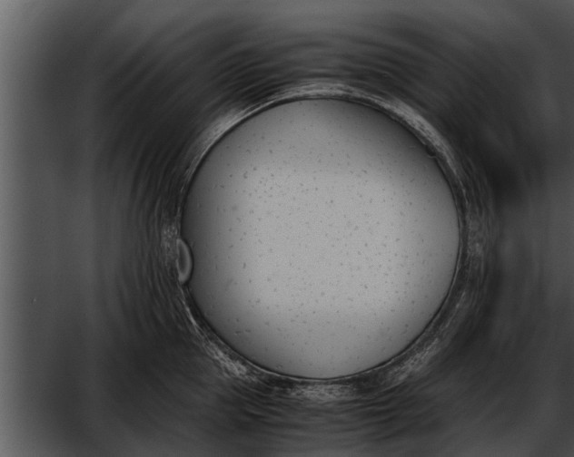 X0000052610953200507160034