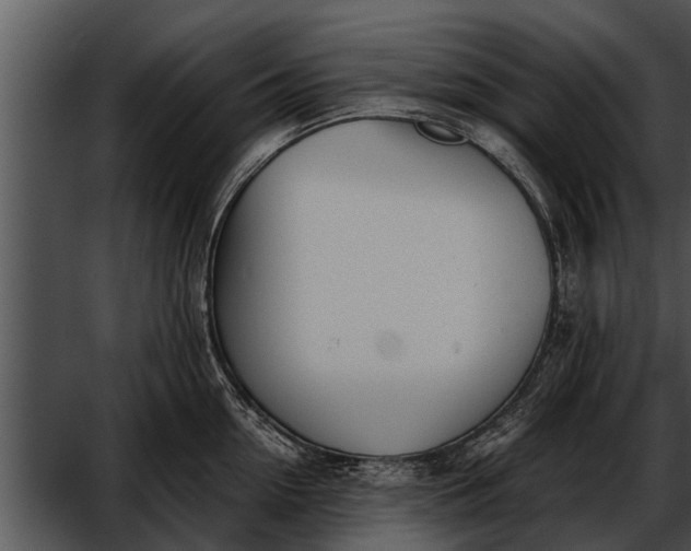 X0000052610954200507160034