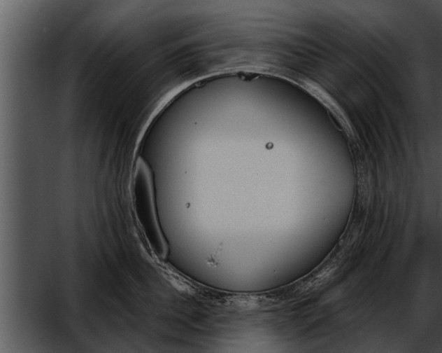 X0000052610956200507160034