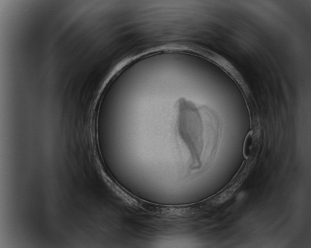 X0000052610958200507160034