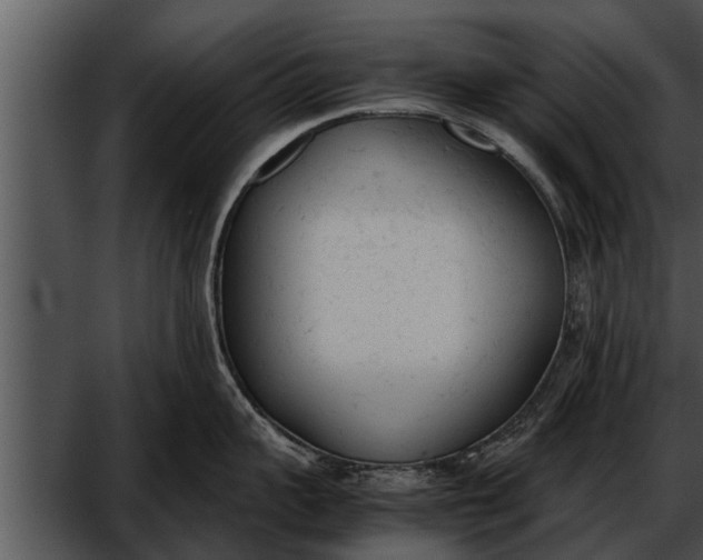 X0000052610959200507160034