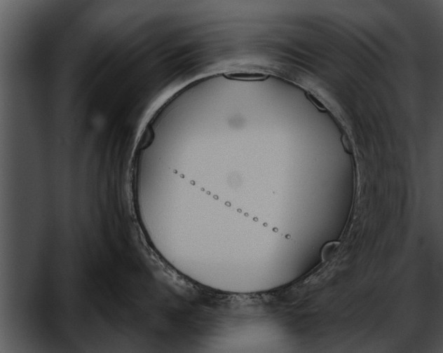 X0000052610960200507160034