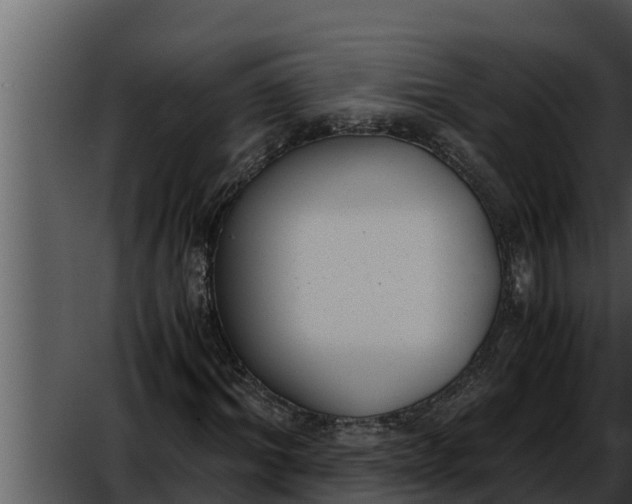 X0000052610964200507160033