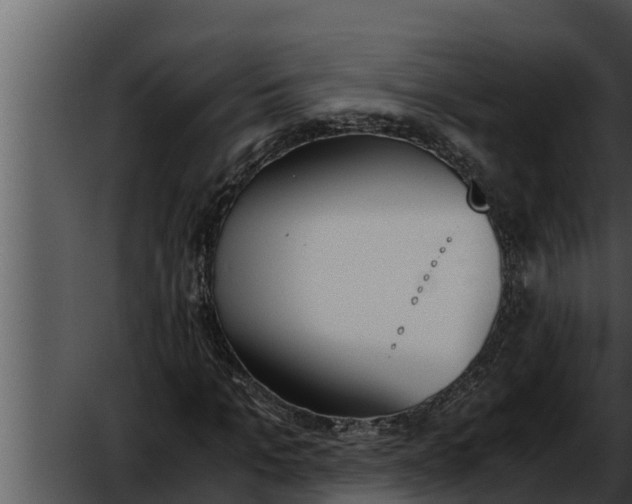 X0000052610965200507160033