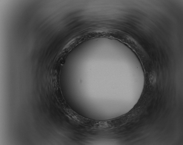 X0000052610968200507160033