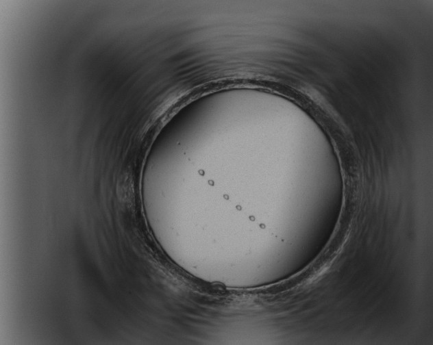 X0000052610969200507160033