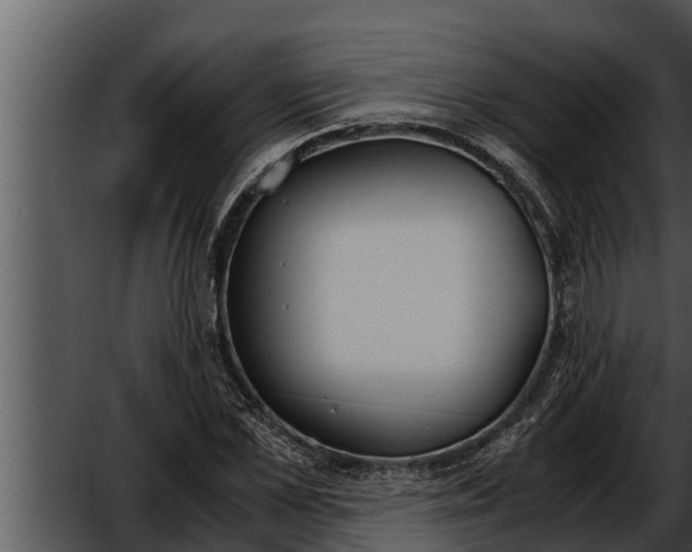 X0000052610973200507160033