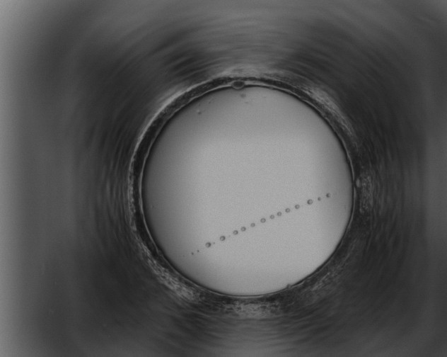 X0000052610976200507160033