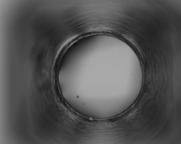 X0000052610979200507160033