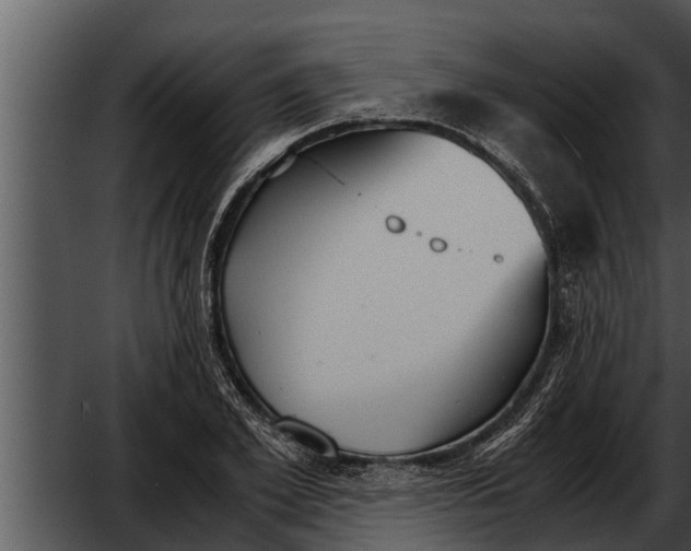 X0000052610981200507160033