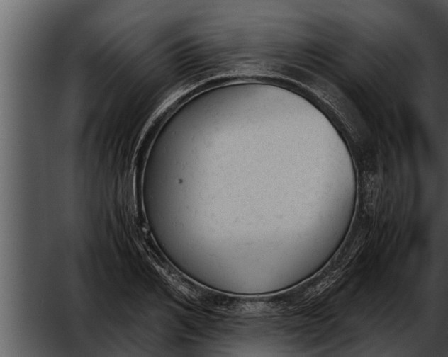 X0000052610982200507160033