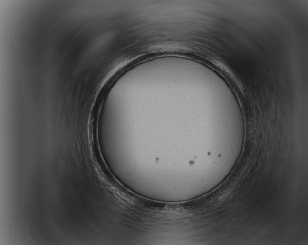 X0000052610983200507160033