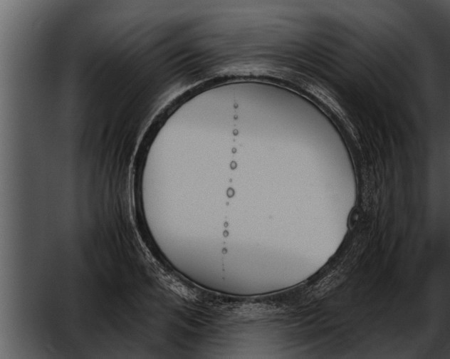 X0000052610984200507160033