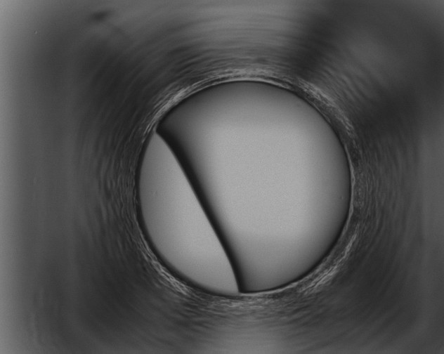 X0000052610985200507160033