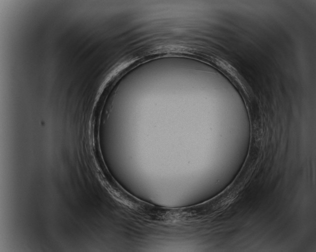 X0000052610987200507160033