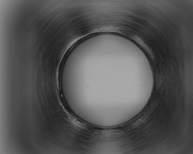 X0000052610988200507160033