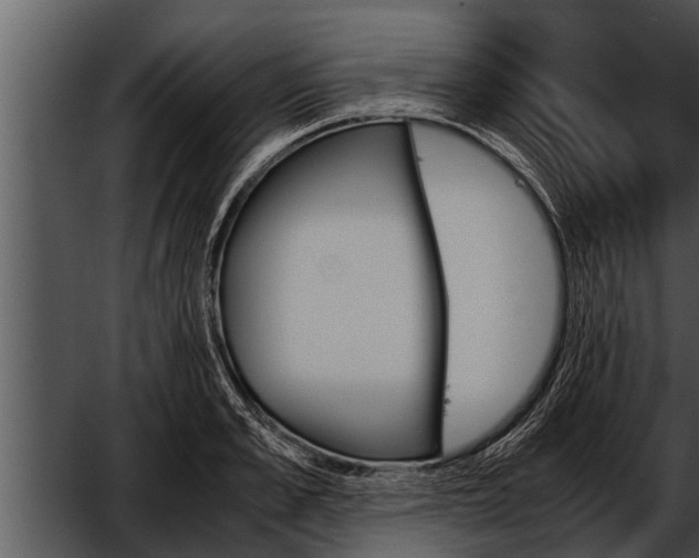 X0000052610989200507160033