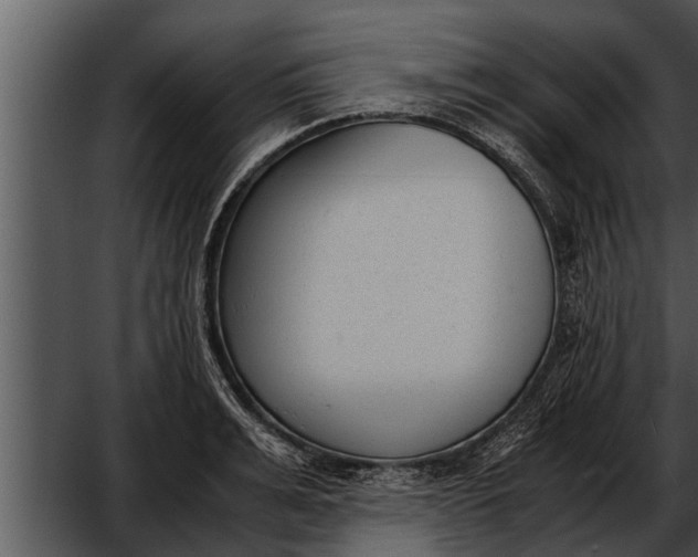 X0000052610991200507160032