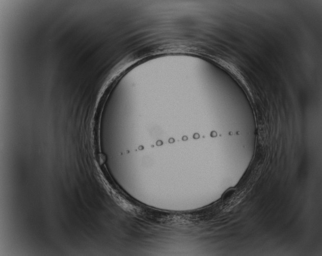 X0000052610995200507160032