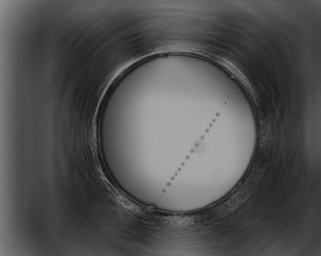 X0000052610996200507160032