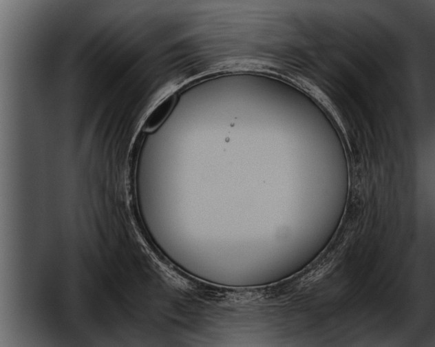 X0000052610997200507160032