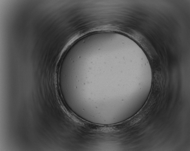 X0000052610998200507160032