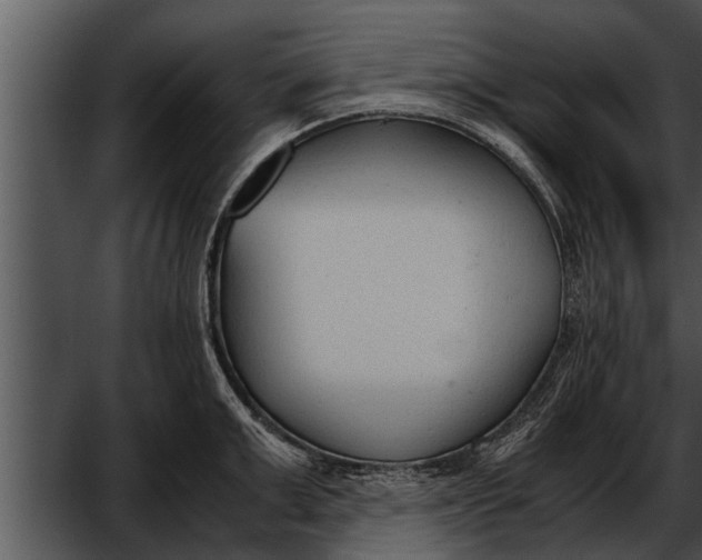 X0000052610999200507160032