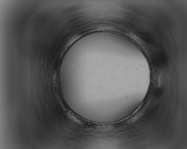 X0000052611001200507160032