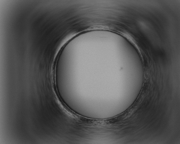 X0000052611003200507160032