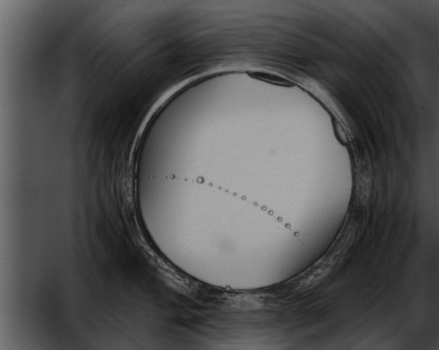 X0000052611004200507160032