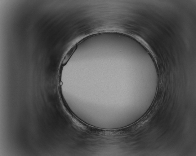 X0000052611005200507160032