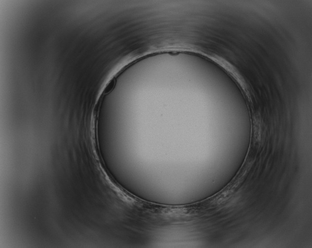 X0000052611006200507160032