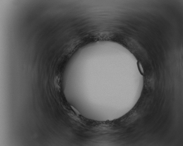 X0000052611010200507160031