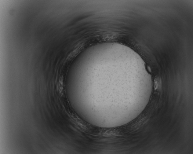 X0000052611011200507160031