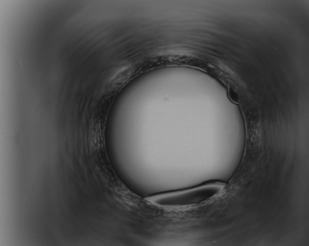 X0000052611014200507160031