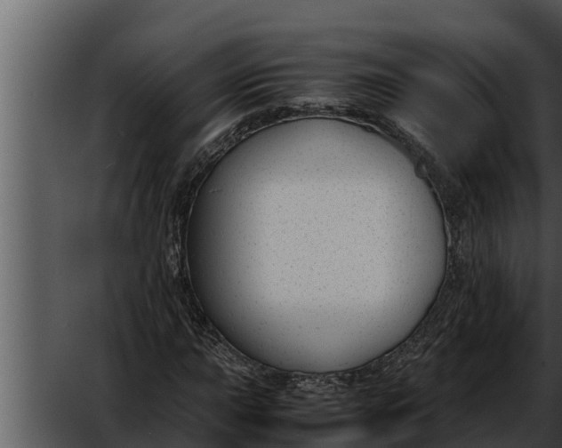 X0000052611015200507160031