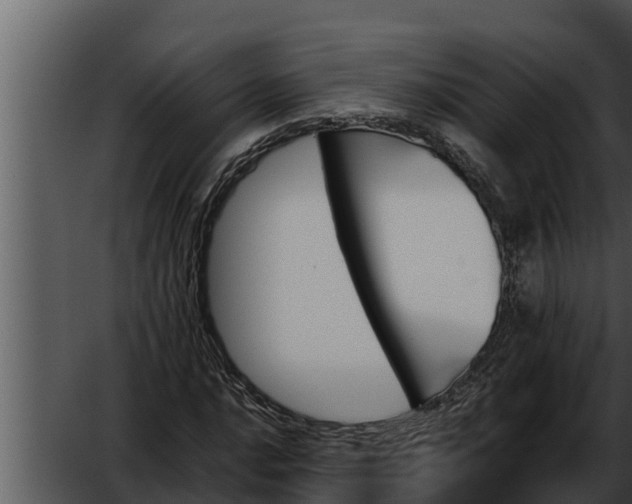 X0000052611016200507160032