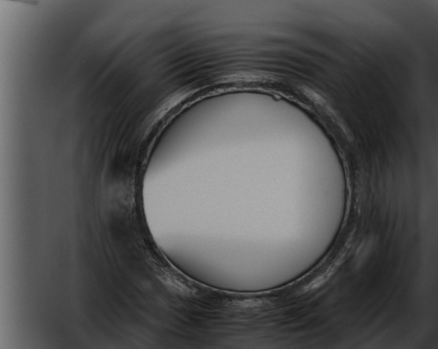 X0000052611017200507160032