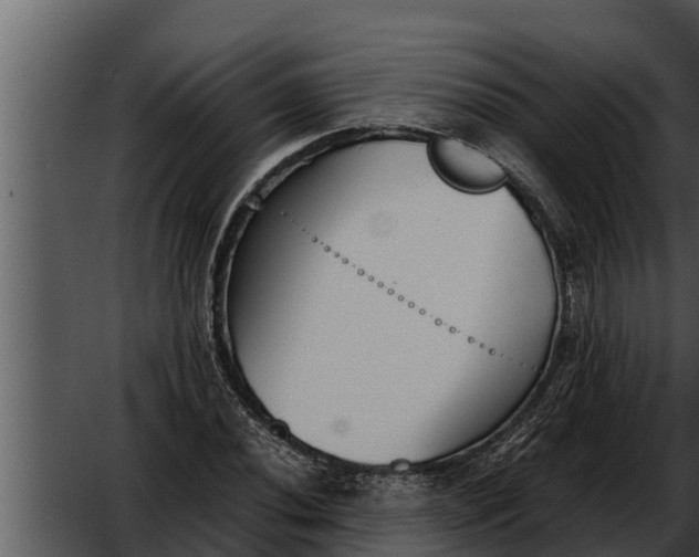 X0000052611020200507160032